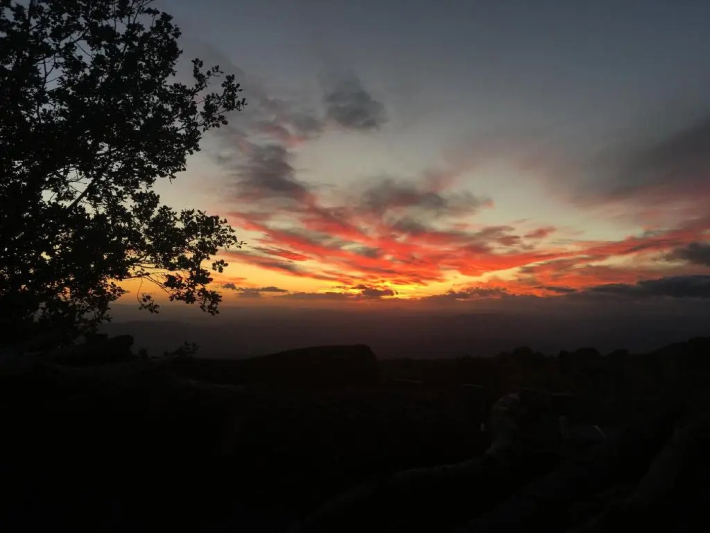 Il Frutteto di Efesto