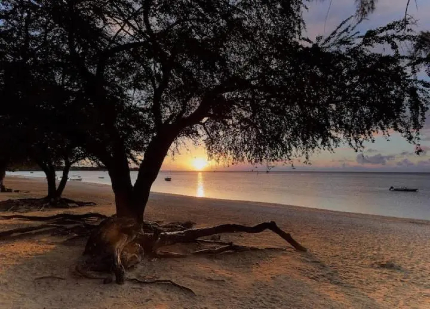 Villa Belifage Verte