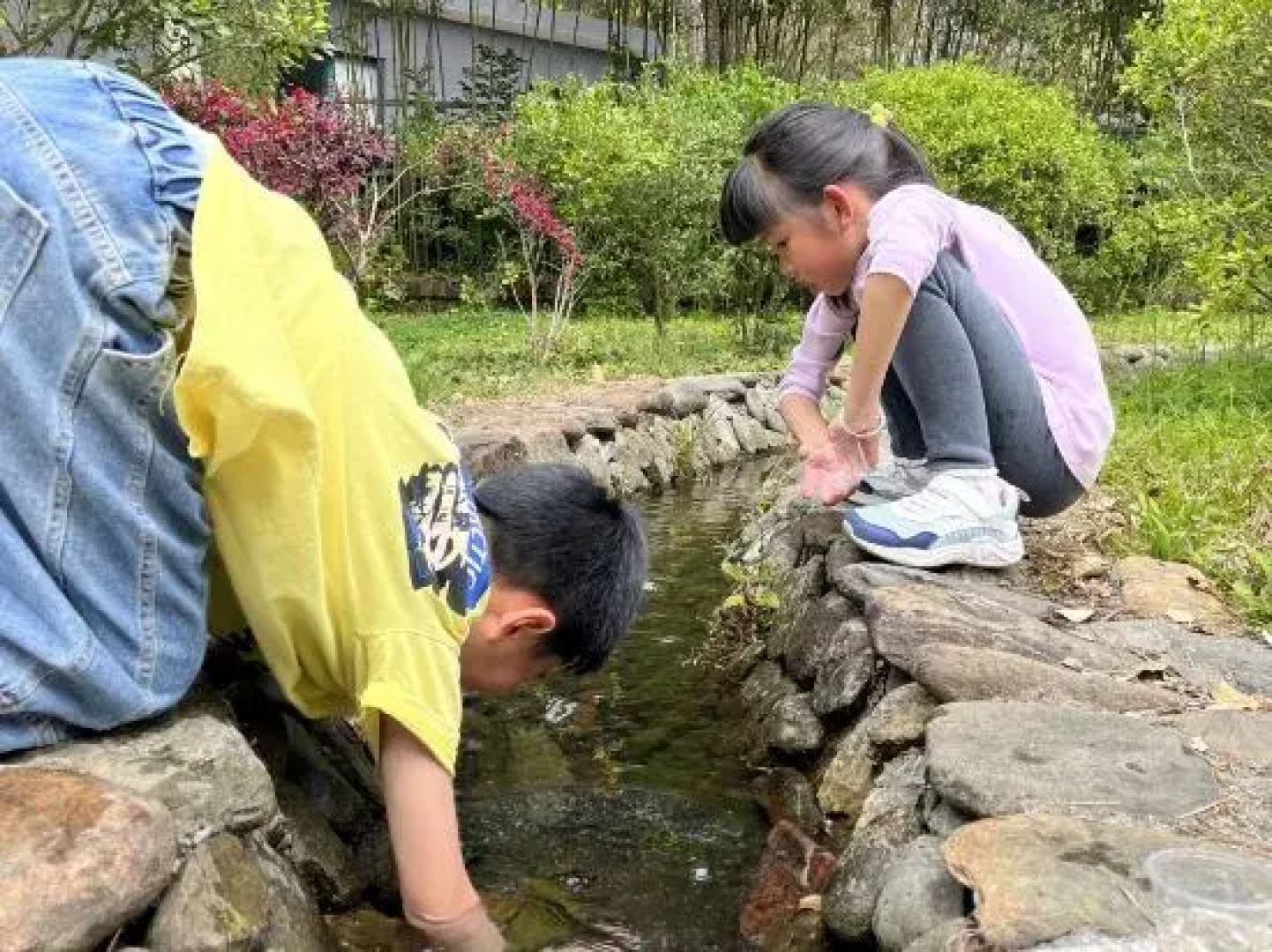 Yingxi Peak Forest Corridor Cuiying Residence
