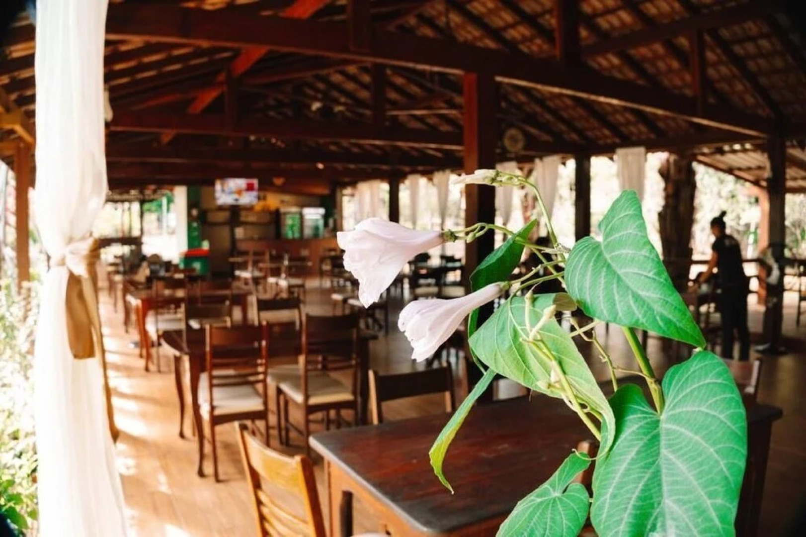 Amazônia ParkSuítes