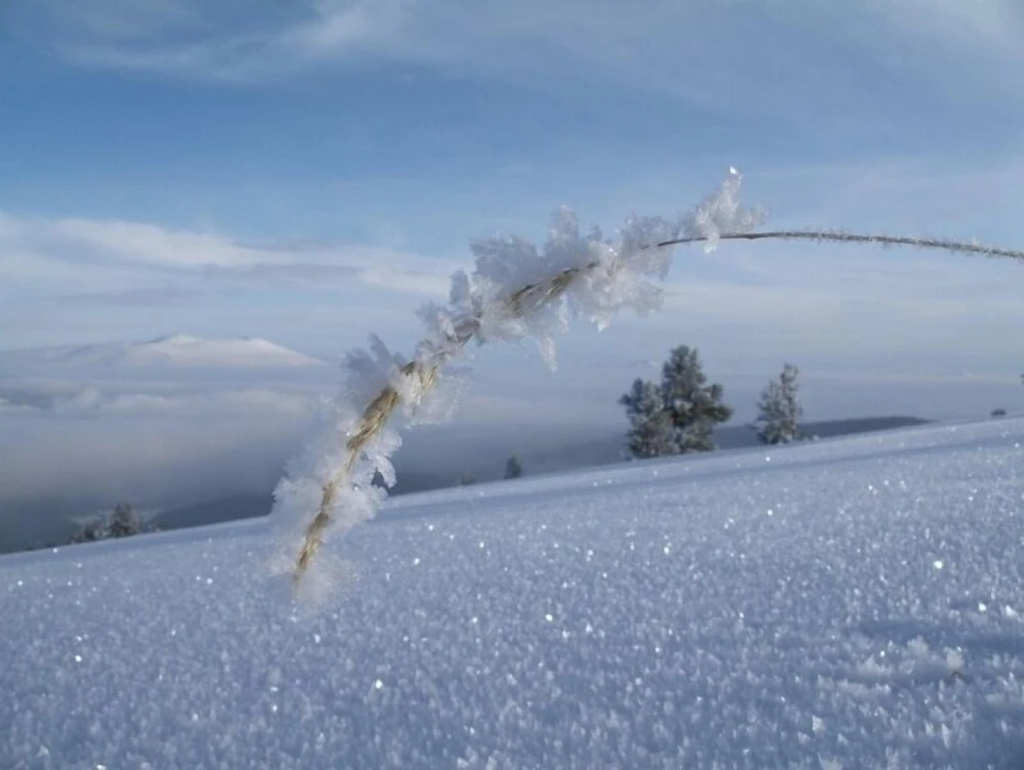 Sarikamis Kayi Snow Otel