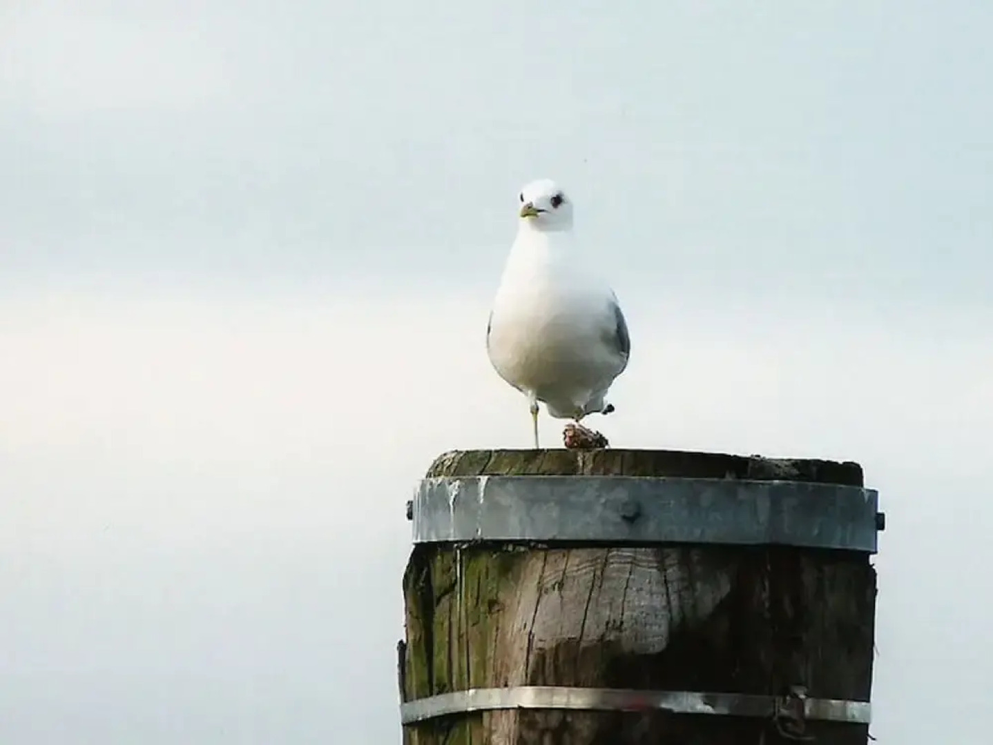 "lee" in House Smaswai 10