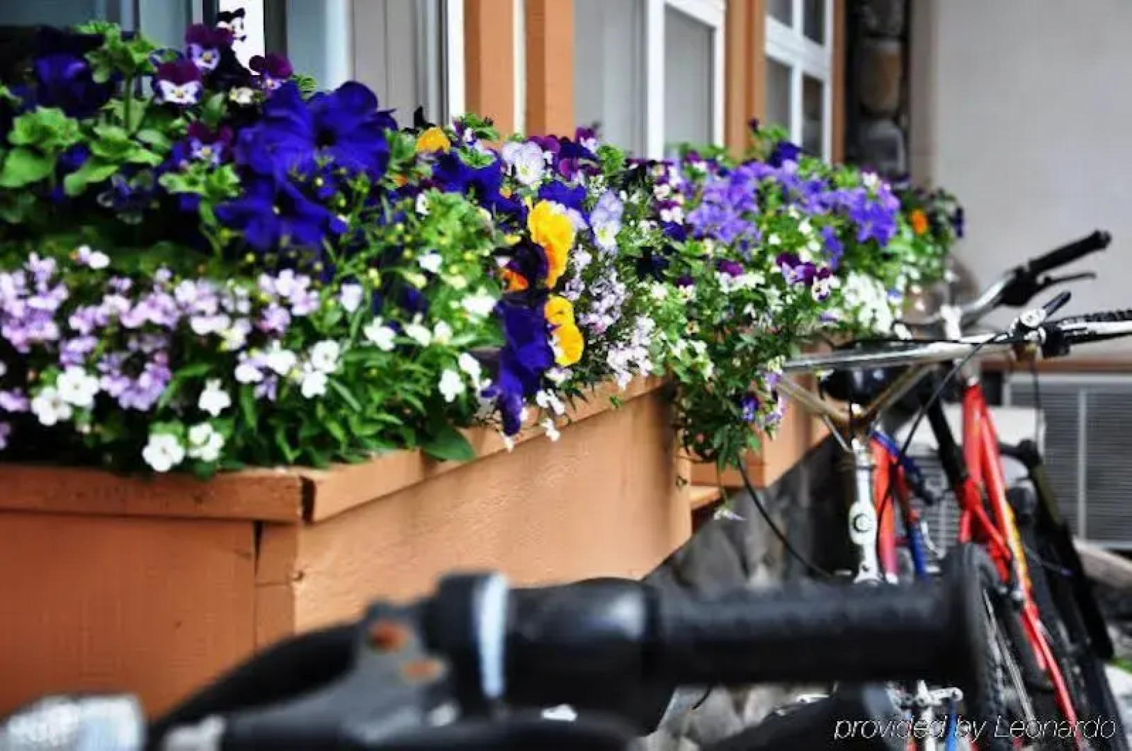 Radisson Hotel & Conference Center Canmore