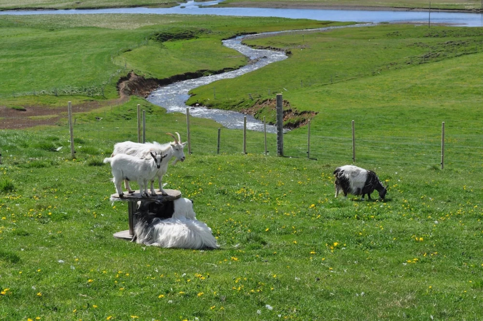 Stóra Ásgeirsá Guesthouse