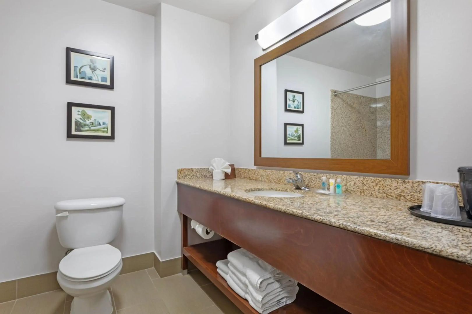 Comfort Suites DFW North/Grapevine