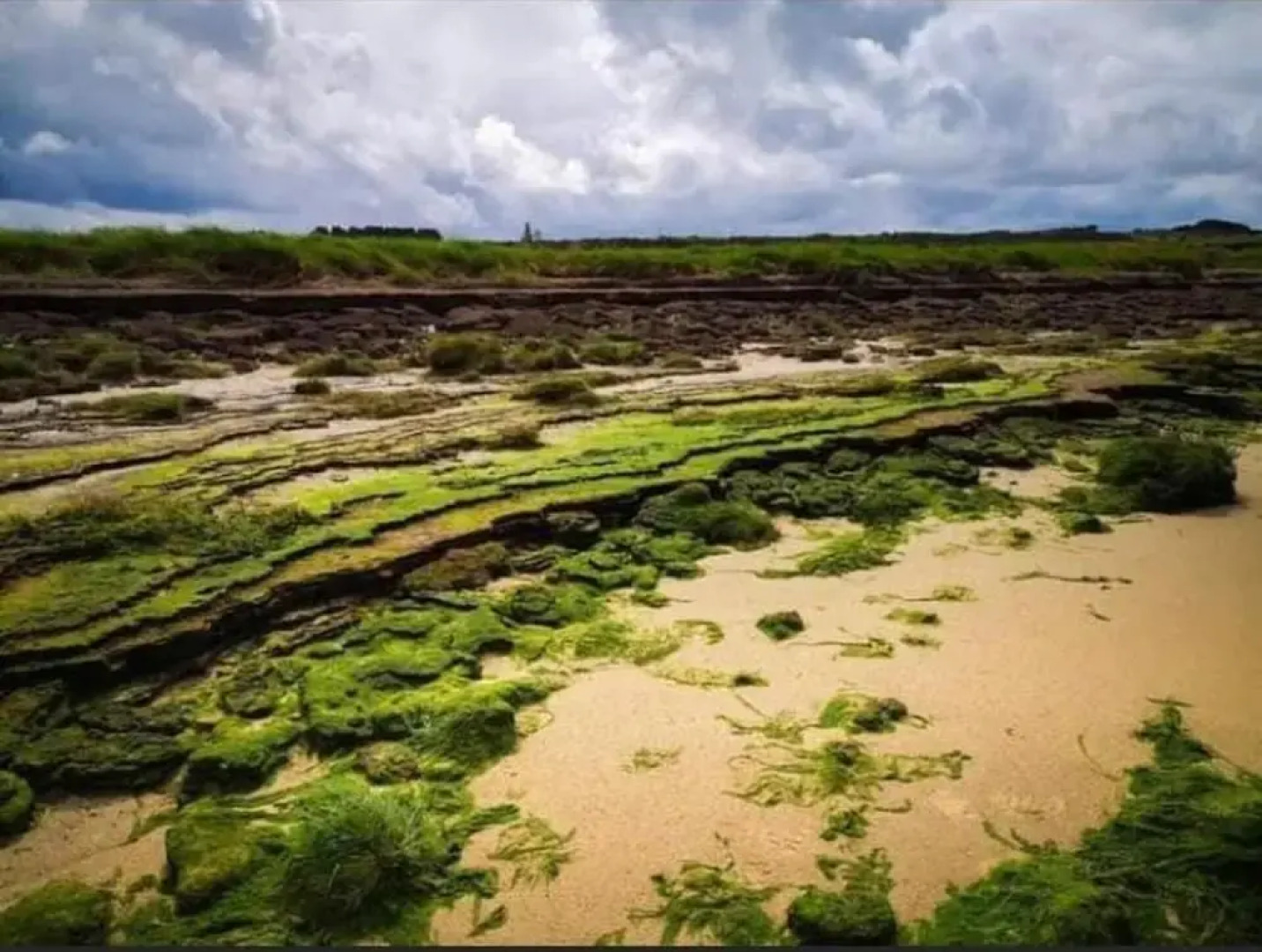 The Cuddly Cow Cosy Barn Studio Campview Farm Stay