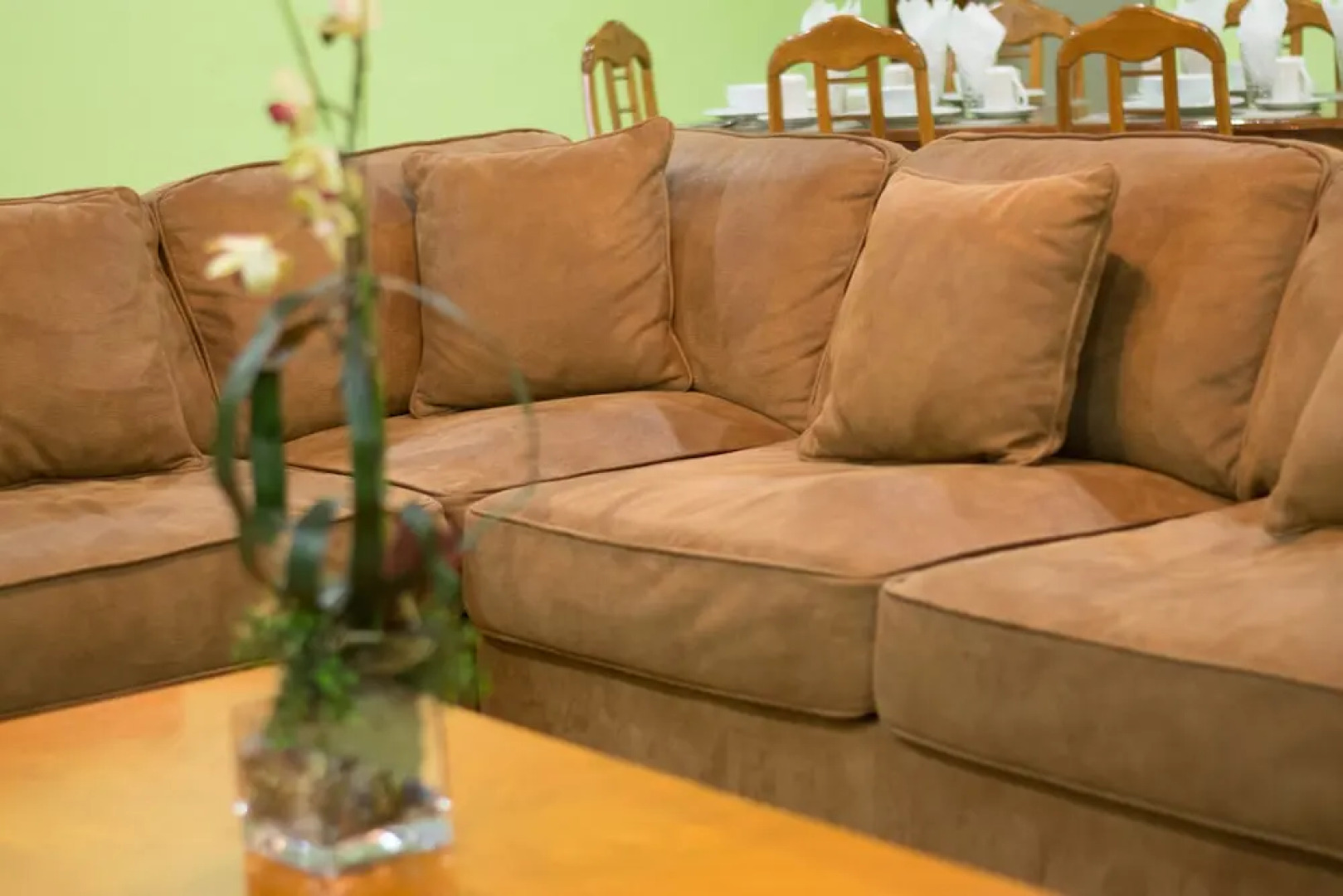 Beverly's Oasis Suites