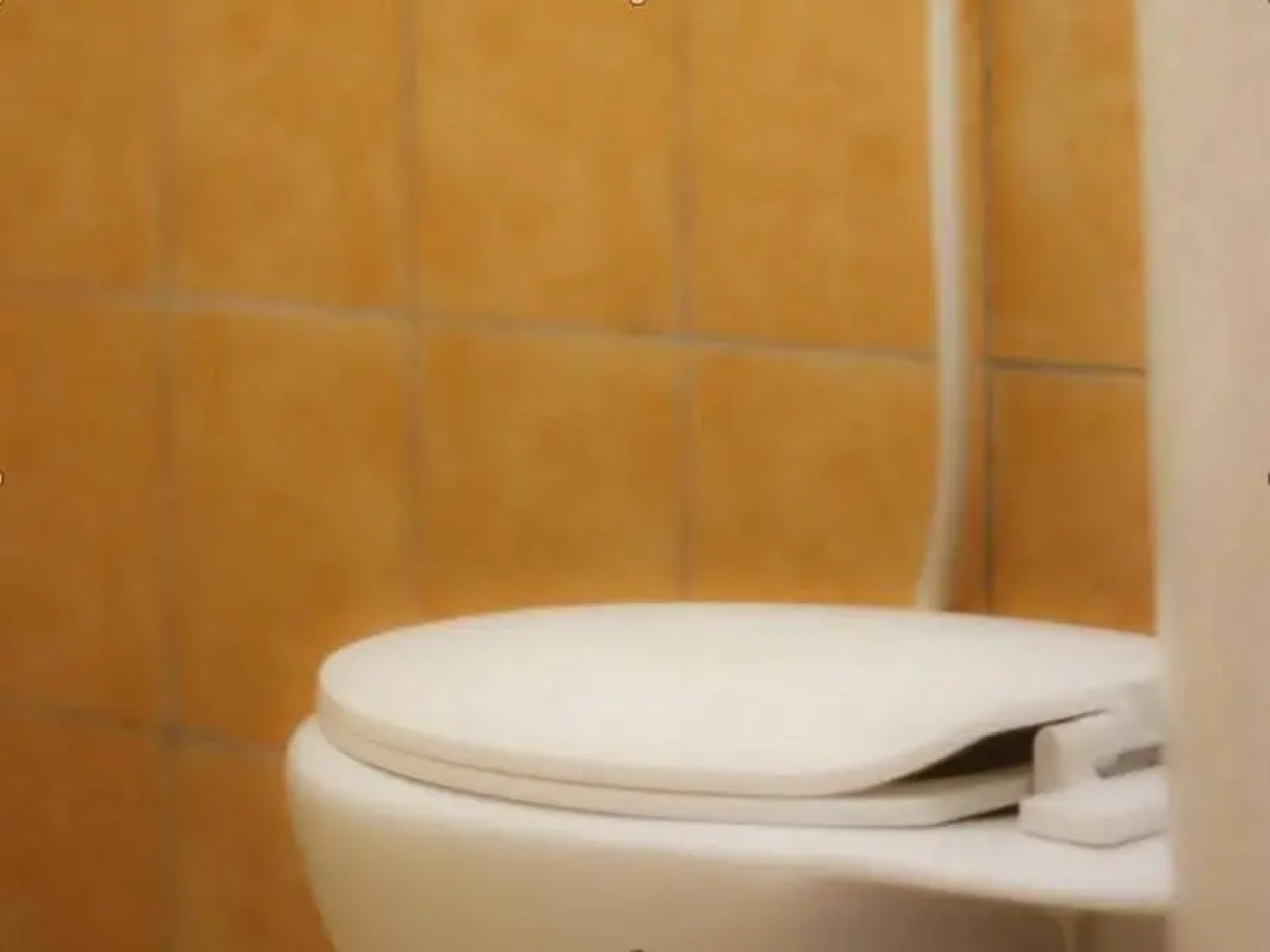 贝勒扎自然度假酒店(Belleza Natura Hotel & Resort)