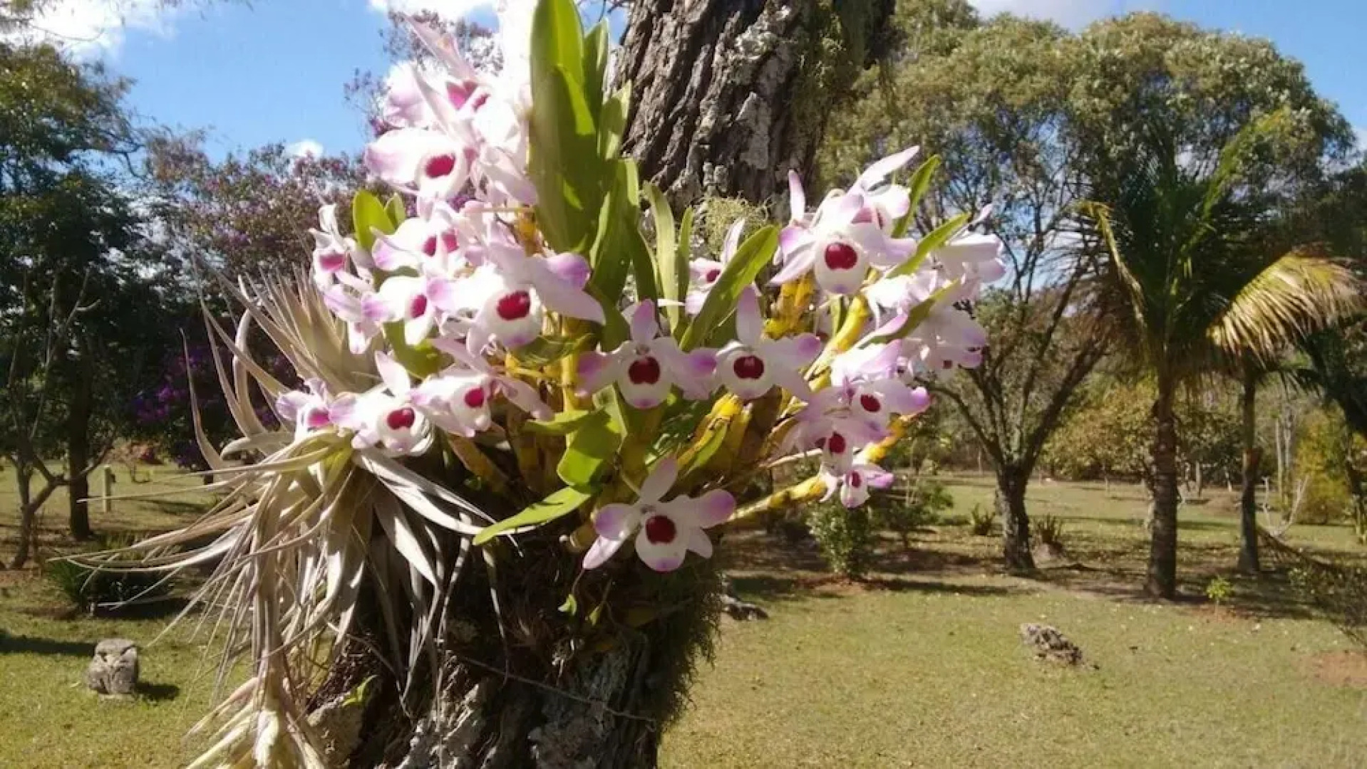 Pousada Sitio da Serra