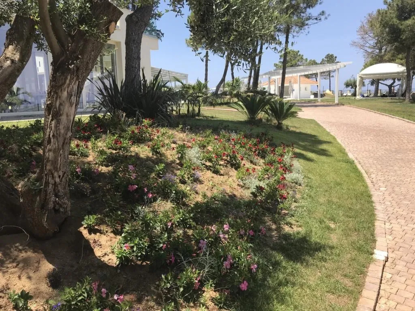 Tui Blue Tropea – Baia di Riaci Resort