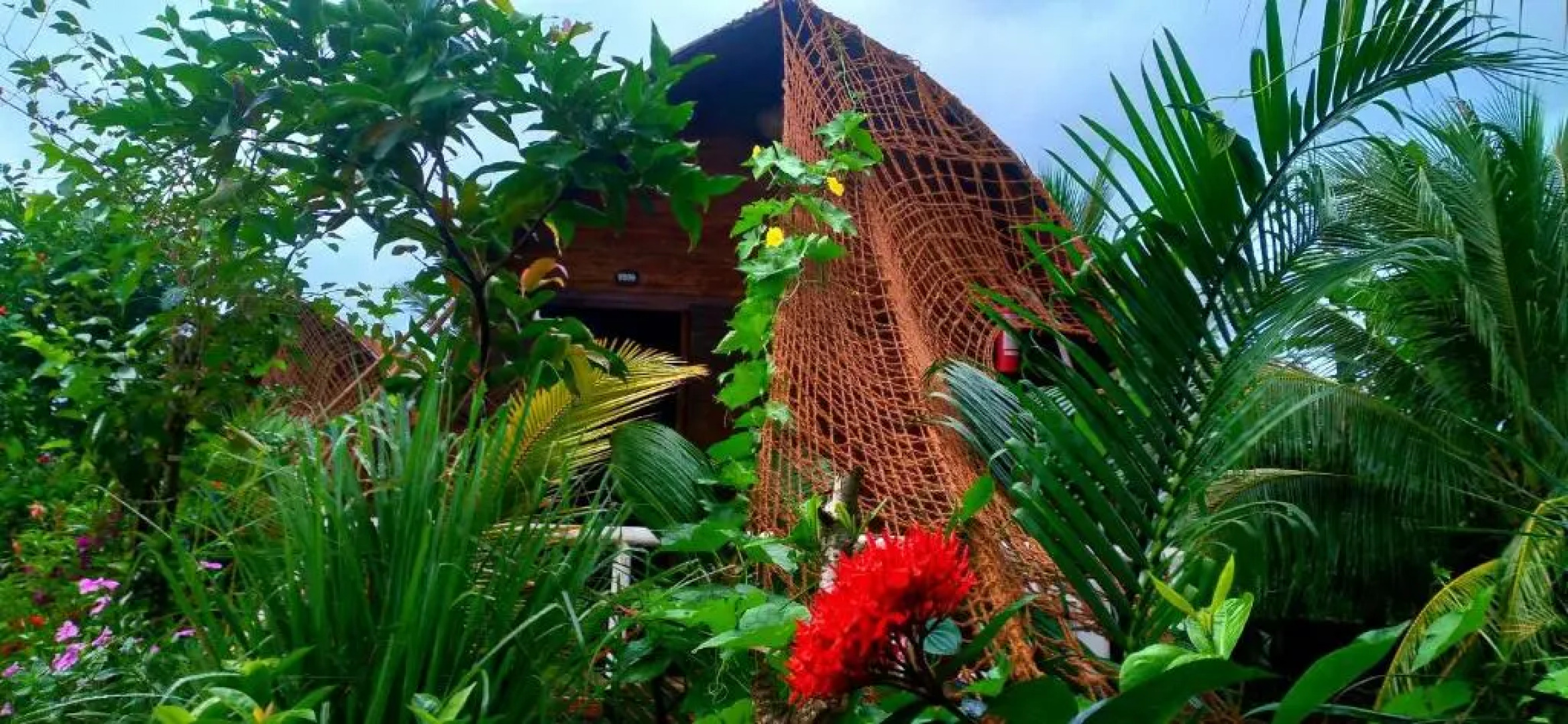 Hong thai River side homestay