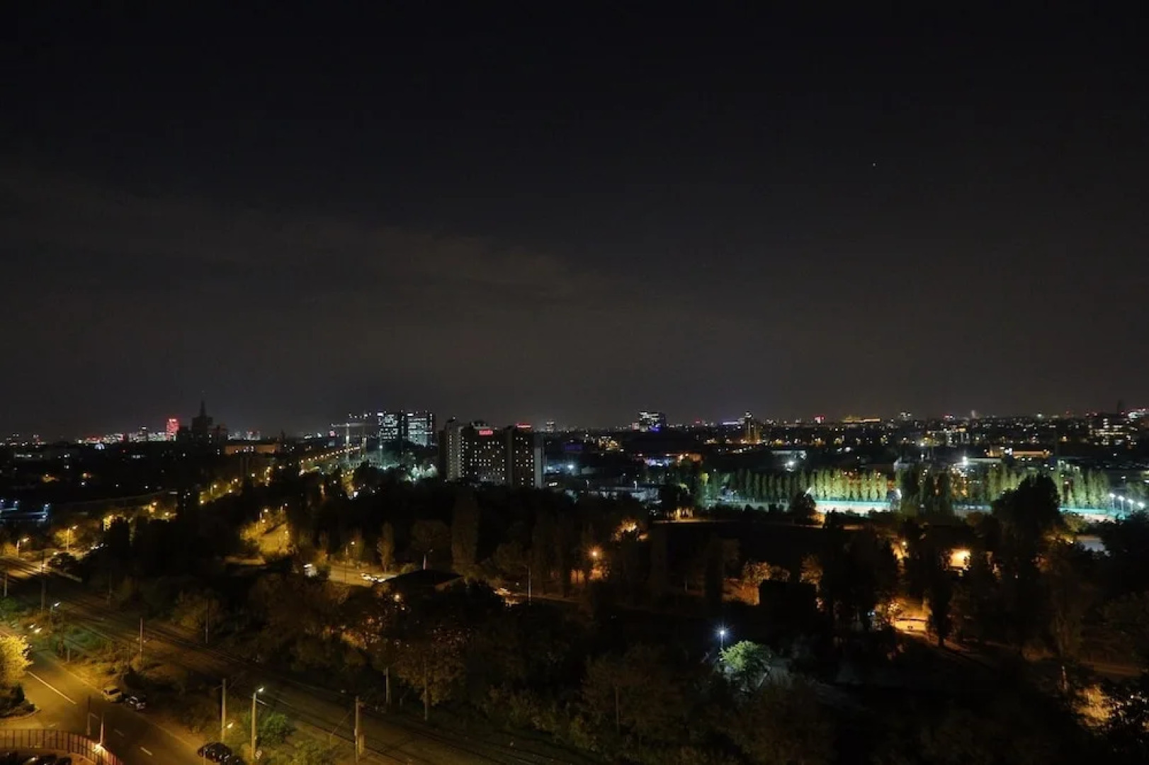 Wild Orchids of Bucharest