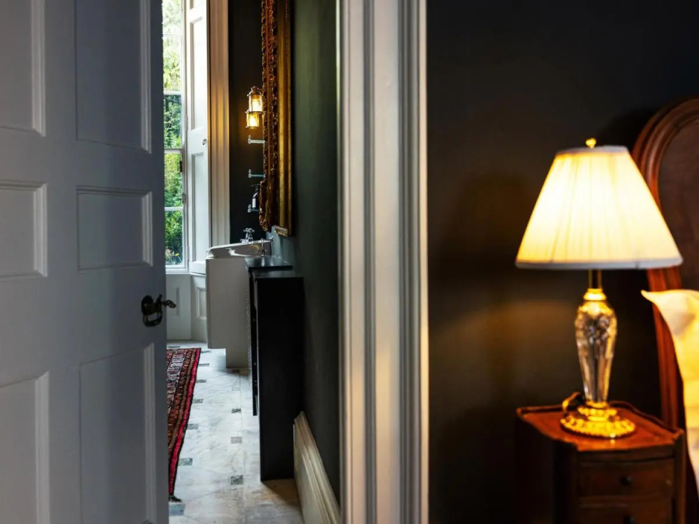 The Forest at Mount Congreve Gardens