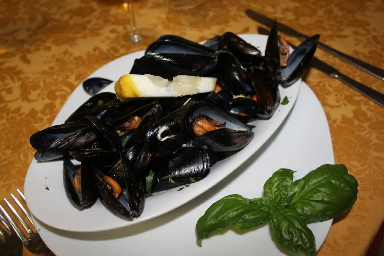 Ristorante Hotel Avvenire