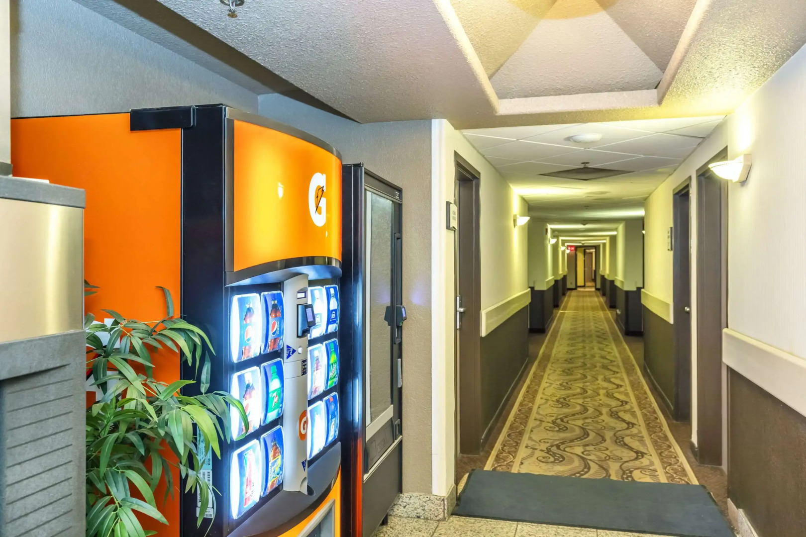 Quality Inn and Suites