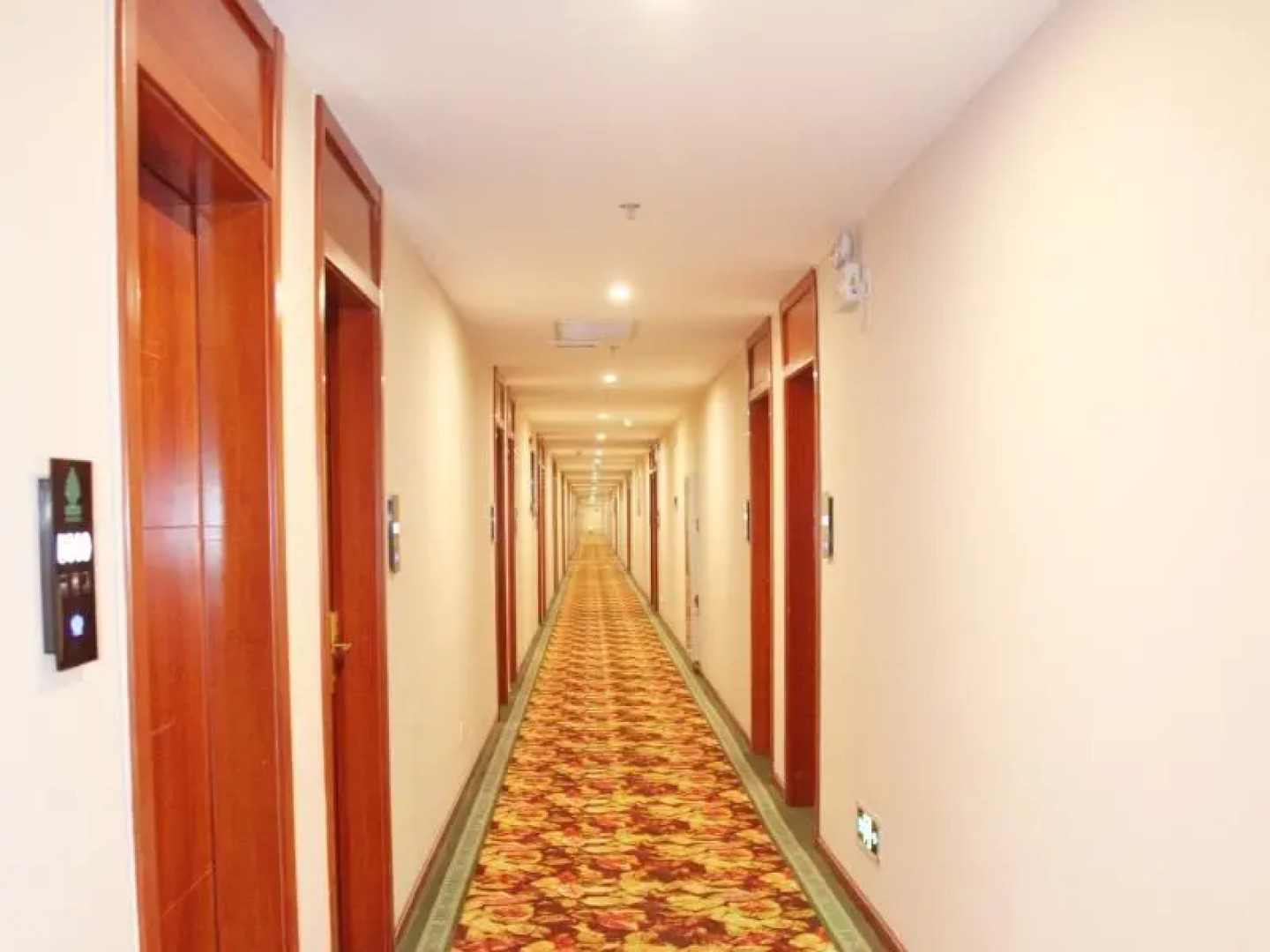 GreenTree Alliance Yichang East Yichang Station Hotel