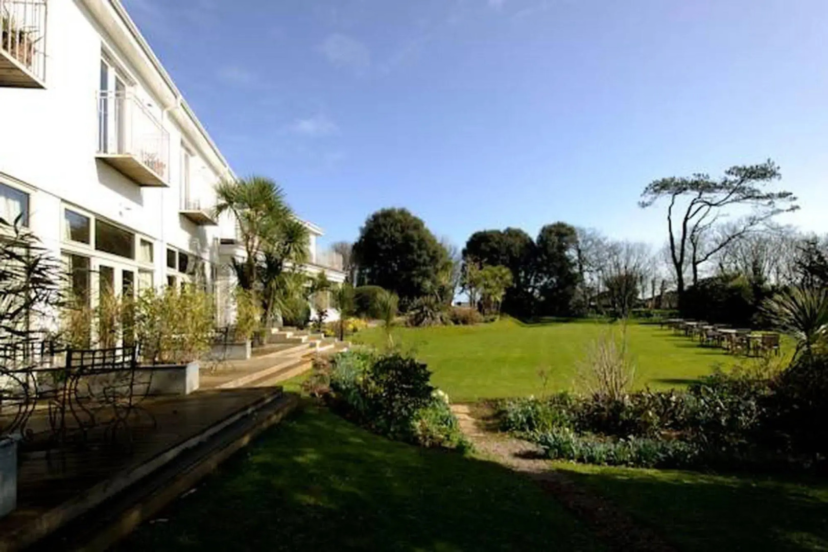 The Rosevine