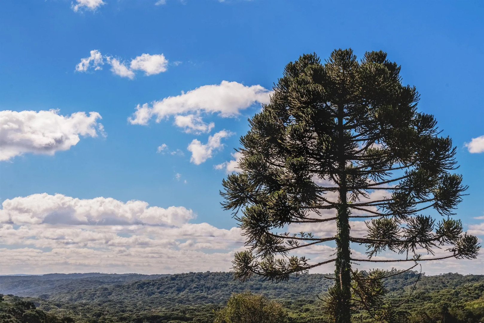 Sky Borges Hotel Alpenhaus