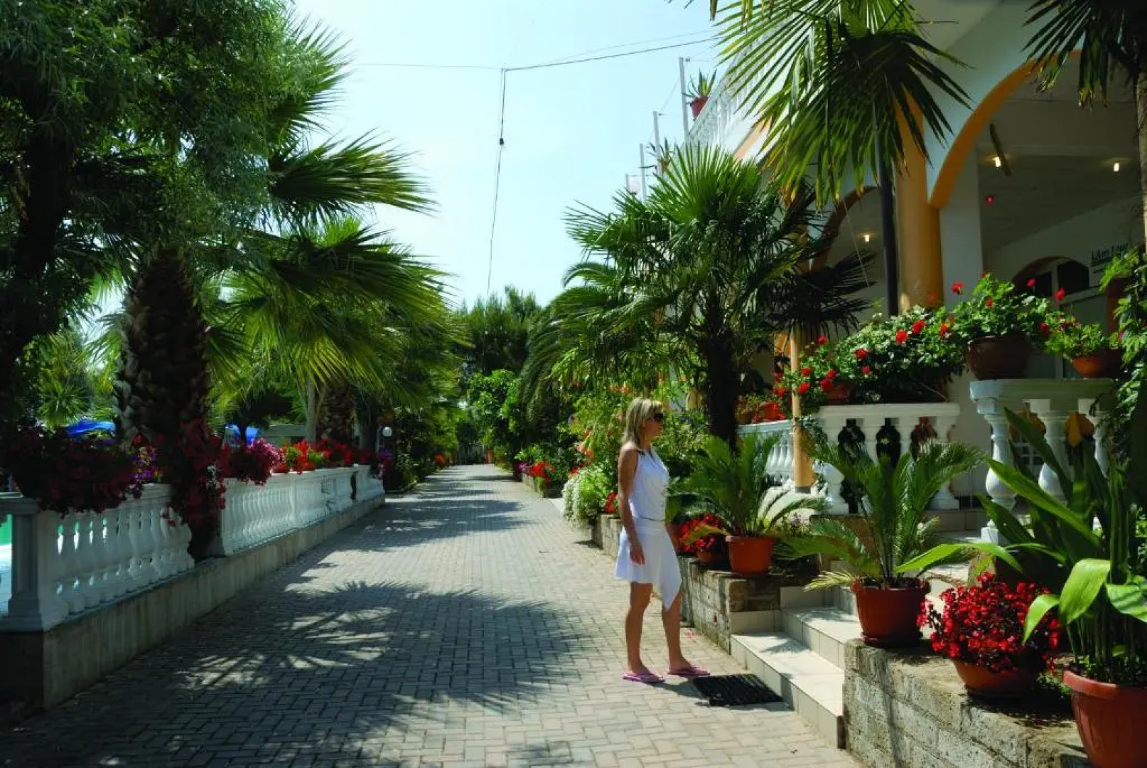 Camping Terrazzo sul mare