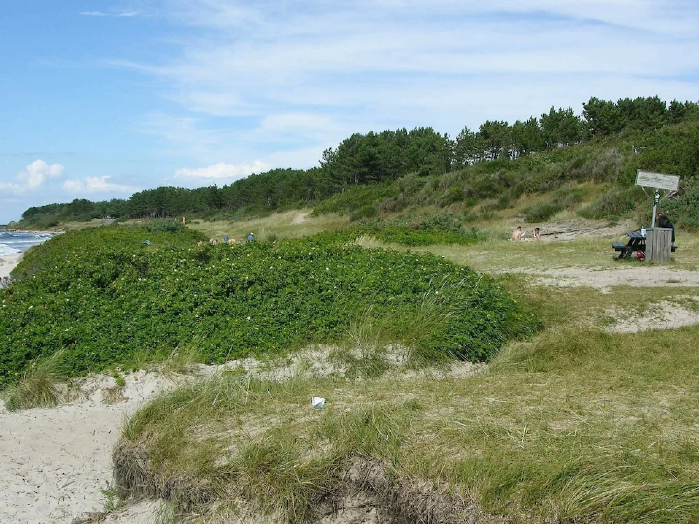 Beautiful Holiday Home in Hasle Near Sea