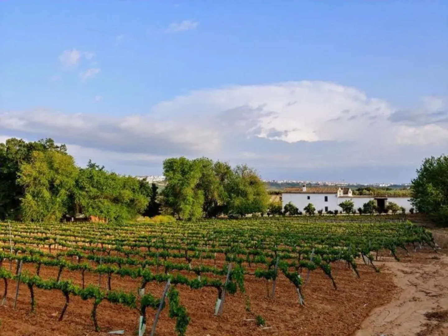 Casa Rural Finca Buytrón