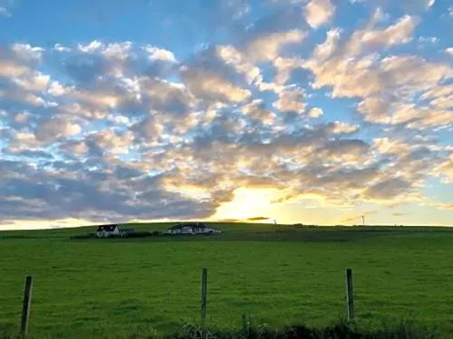 Aviedale Cottage B&B