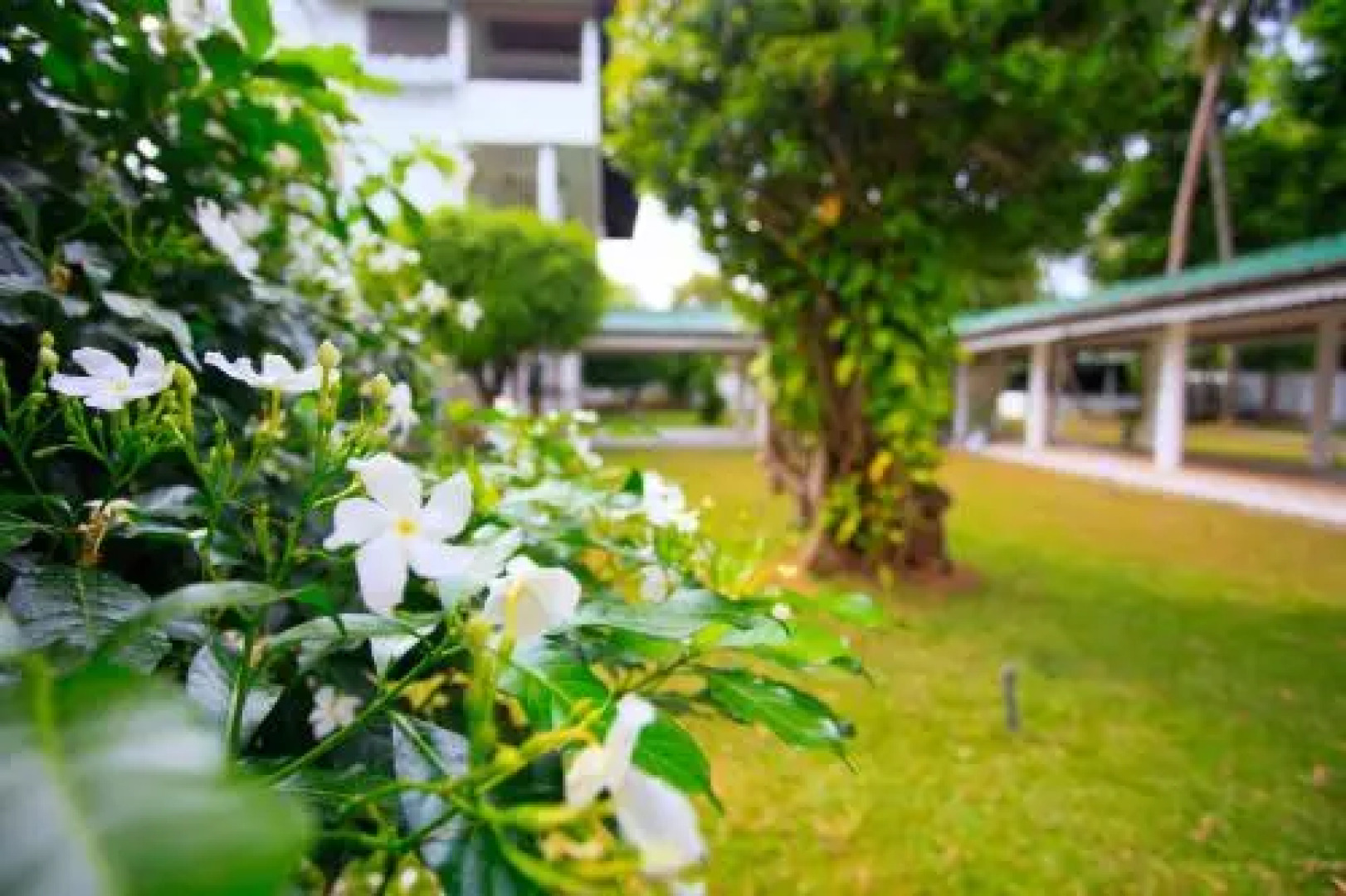 Sorabora Gedara Hotel