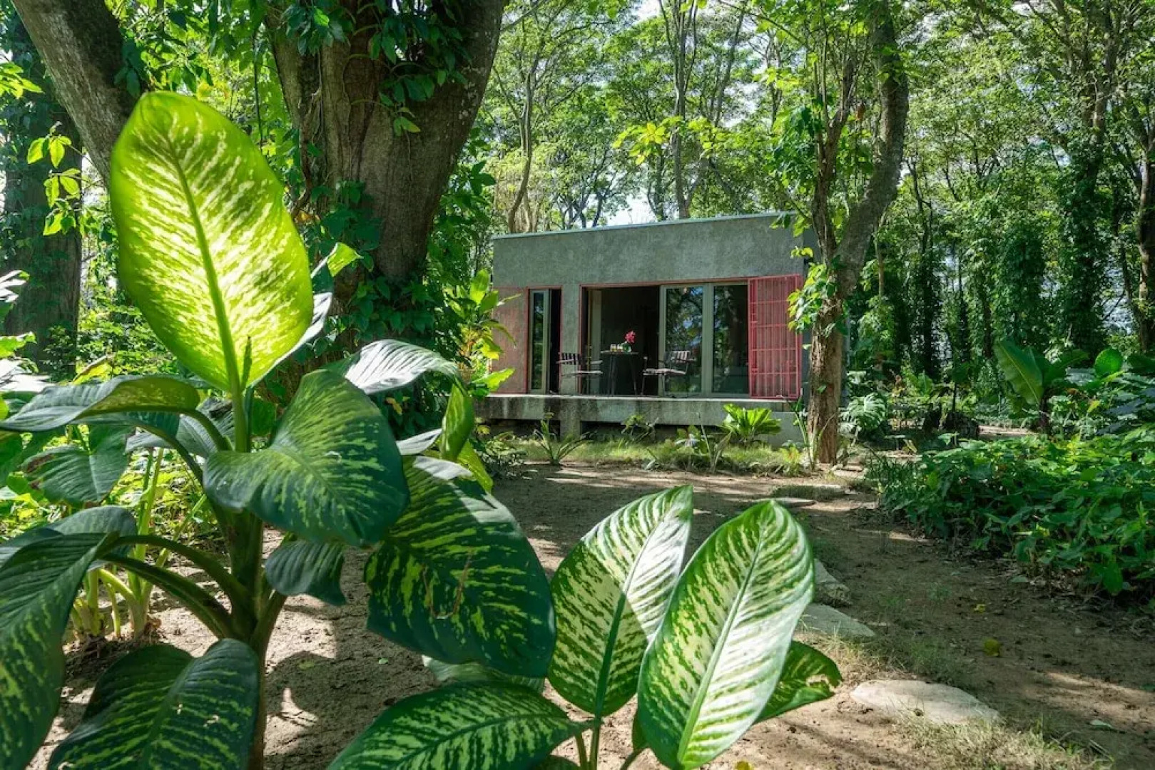 REFUGIO Sabaneta de Yásica