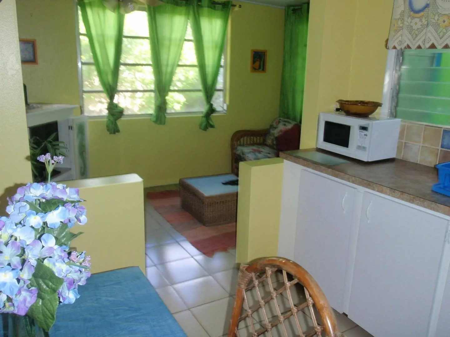 Eldemire's Tropical Island Inn