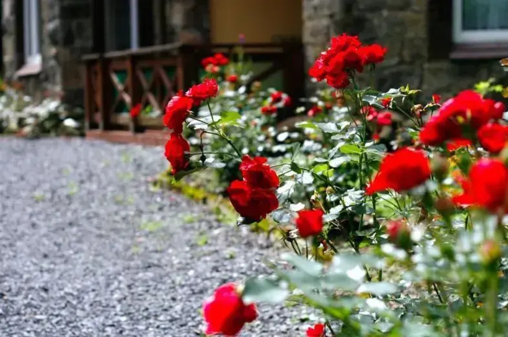 Dom Wypoczynkowy Kaja