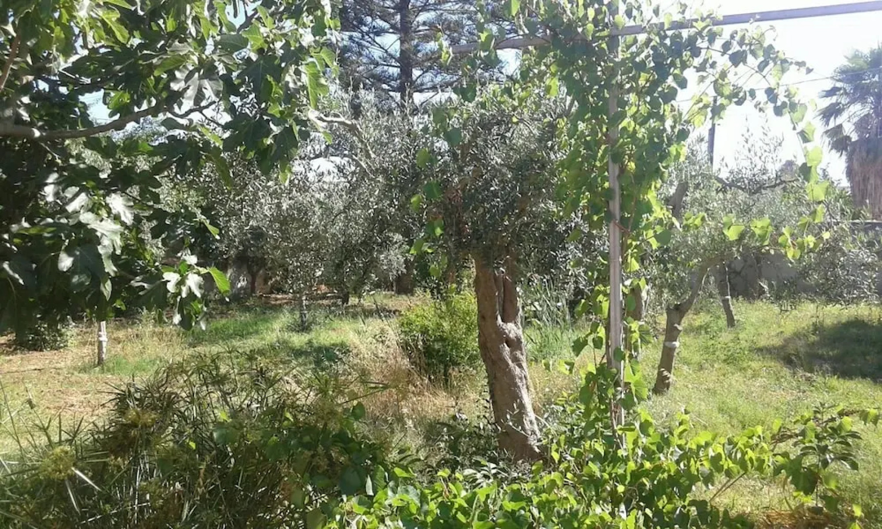 Casa Vacanze Summertime