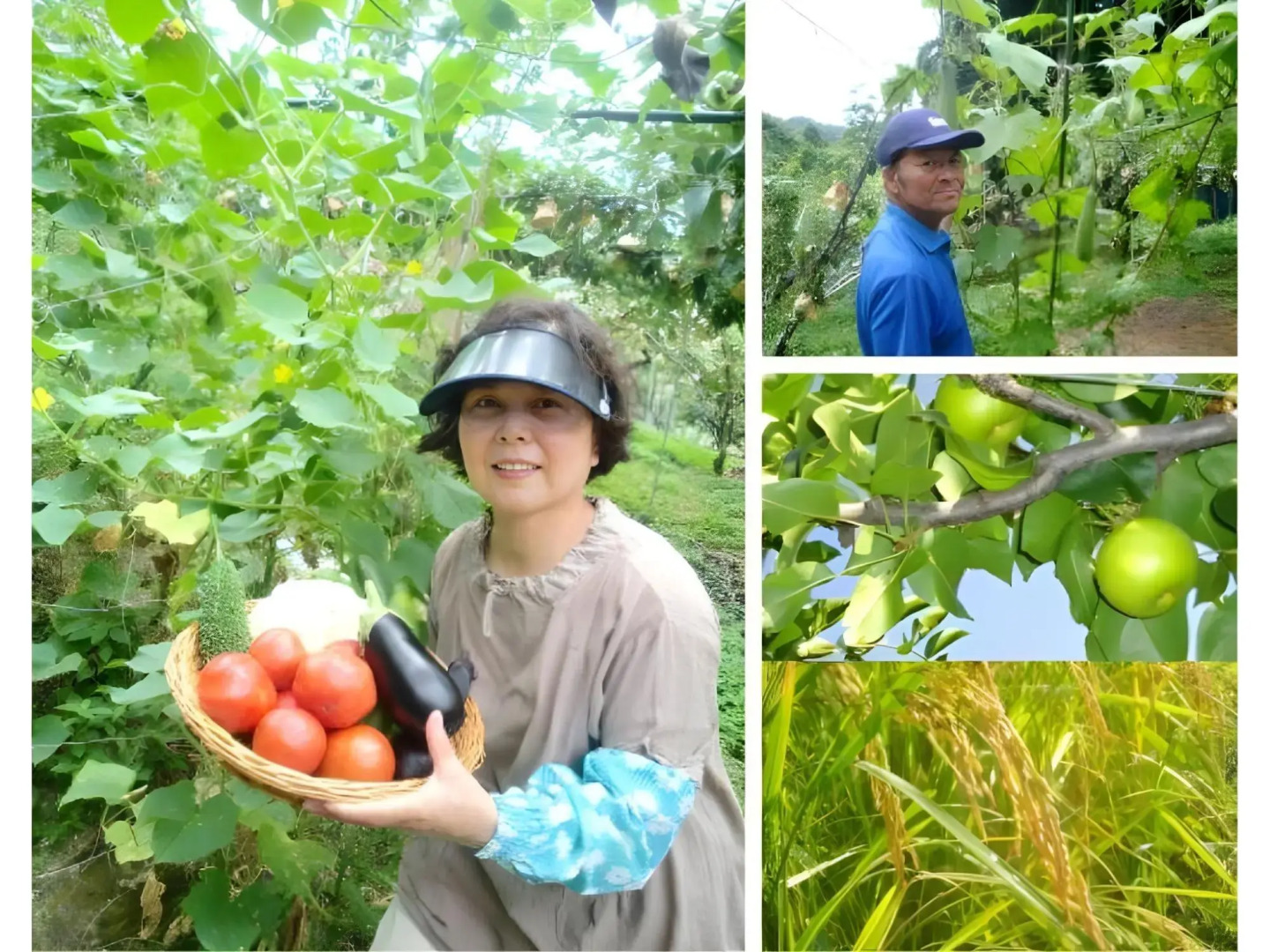 Minshuku Ryokan Miuraya