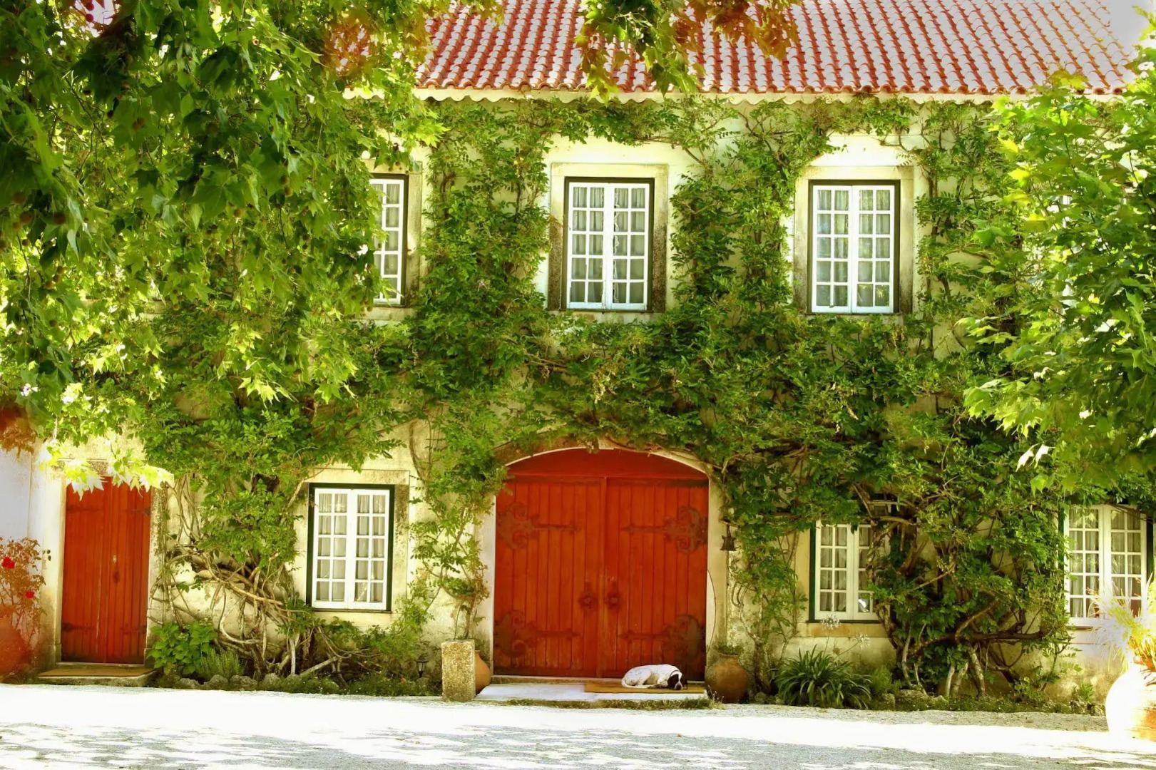Quinta da Alcaidaria Mór