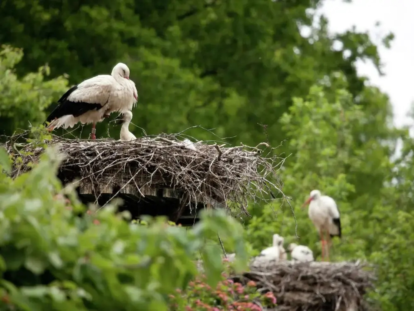 Cozy Chalet in a Natural Environment