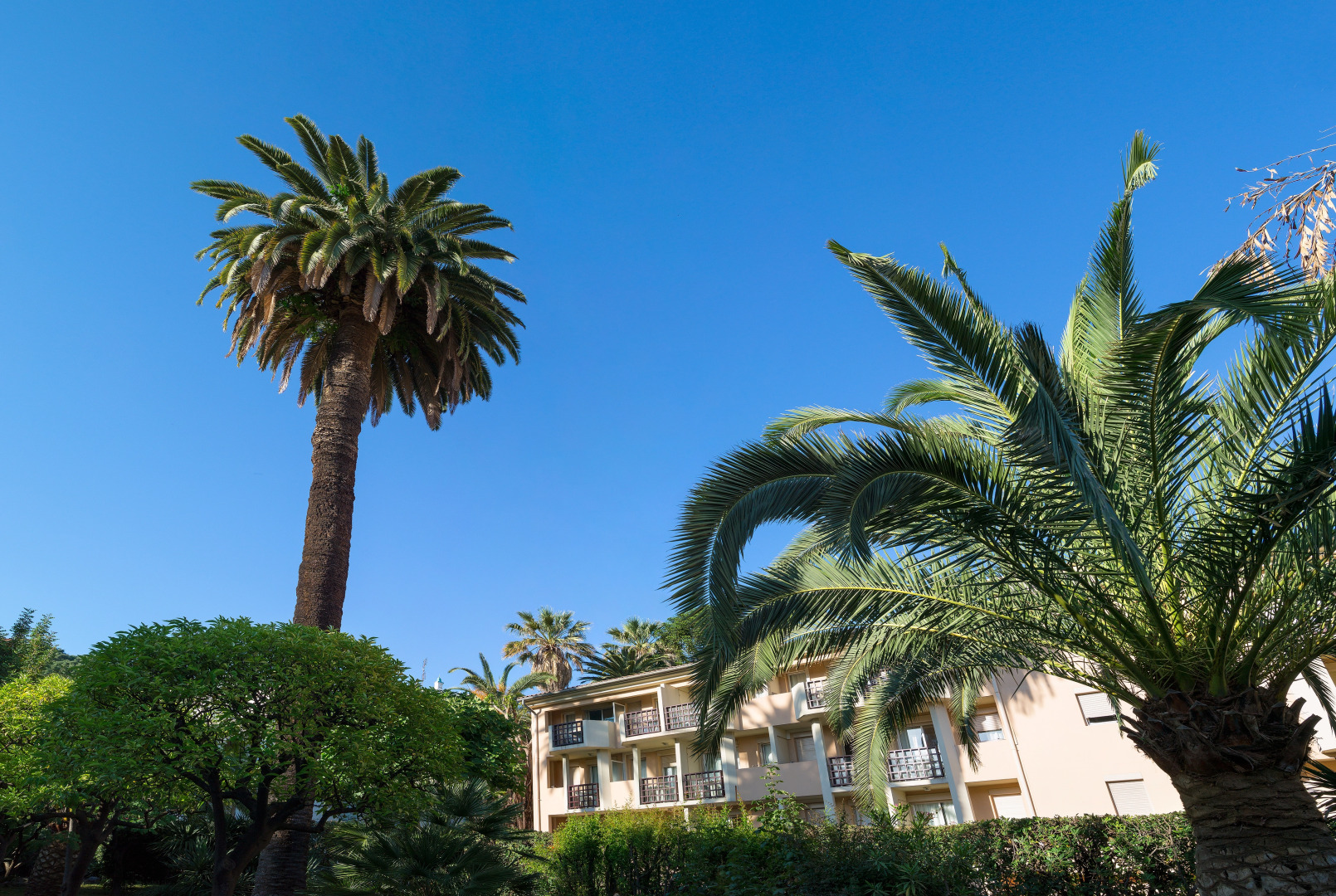 Pierre & Vacances Résidence Les Citronniers