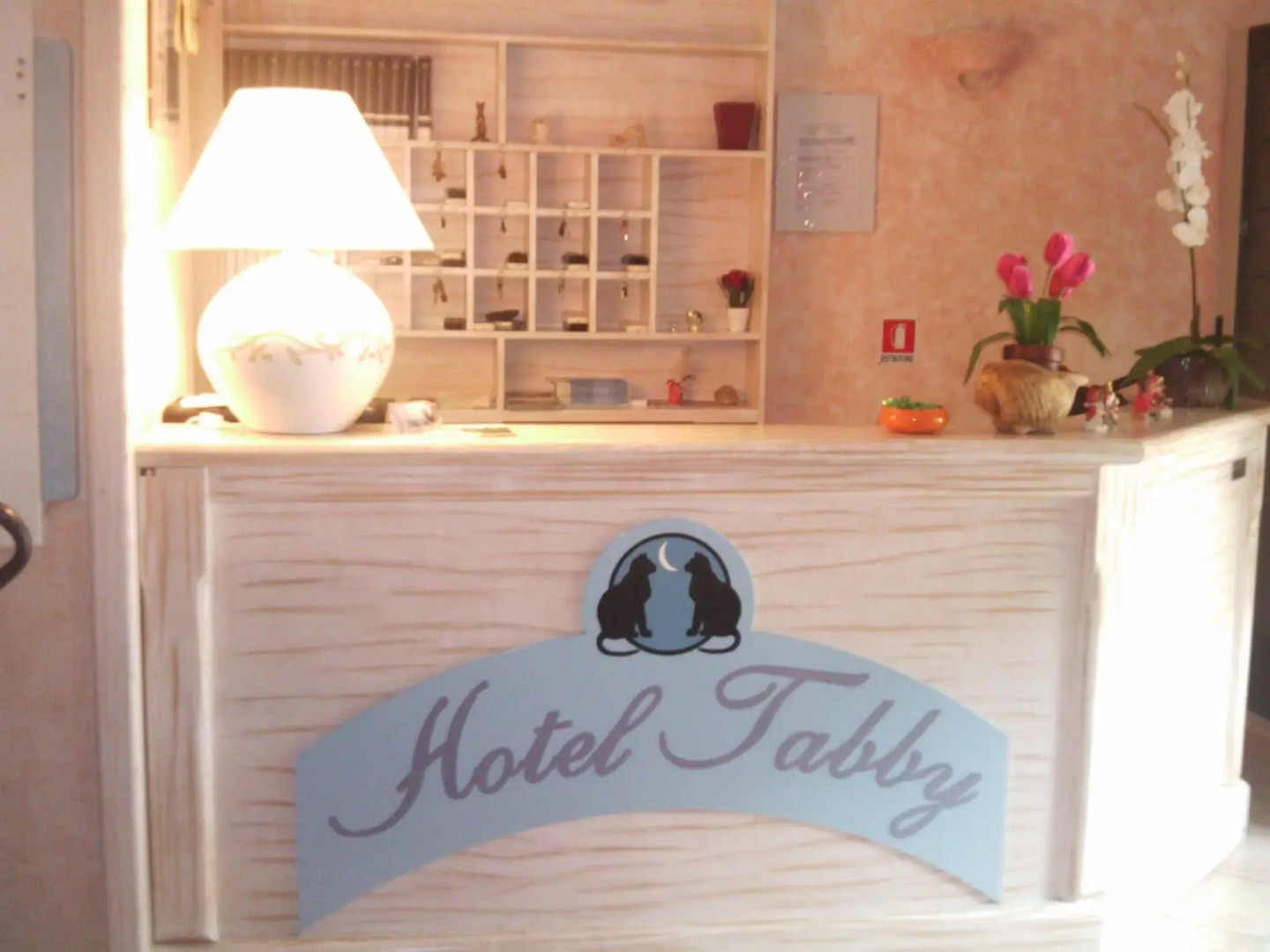 Hotel Tabby