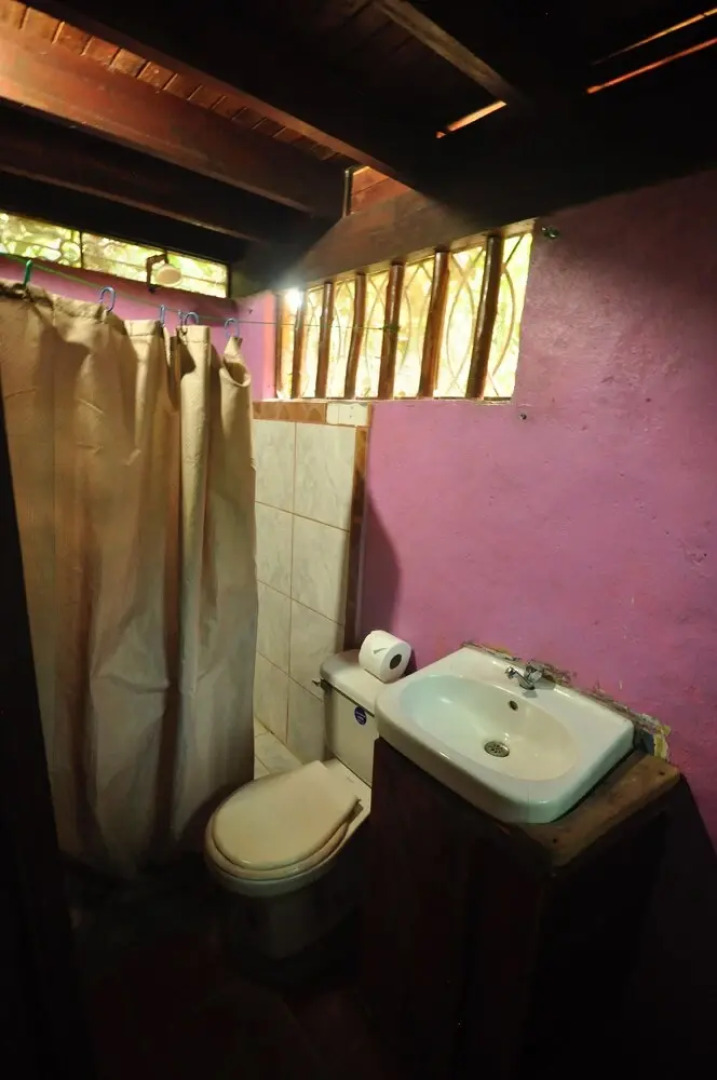 The Howler Monkey Hotel