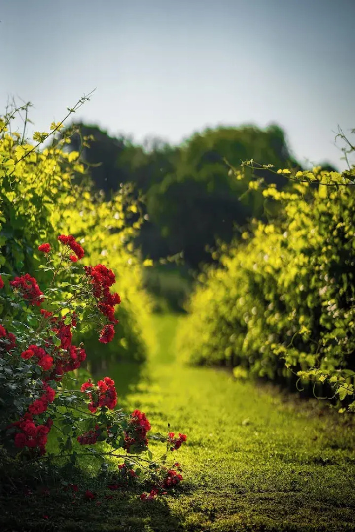 Villa Luisa Francesca