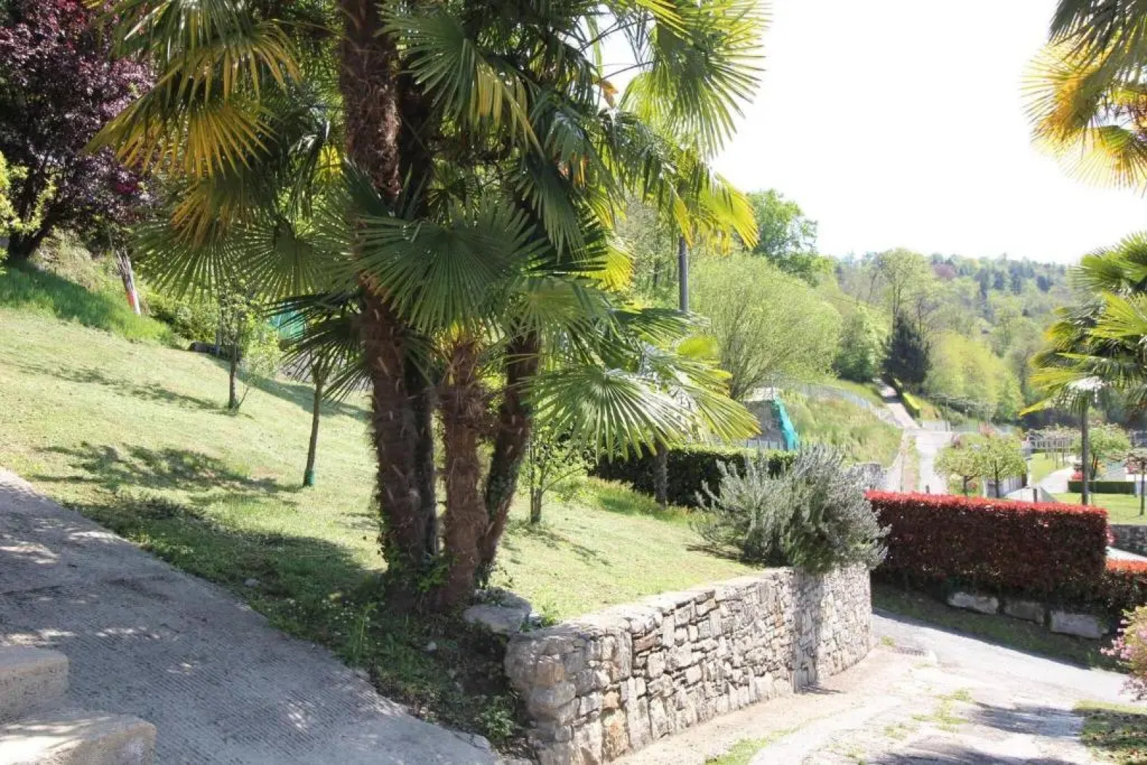 A Lovely Picture on the Lake