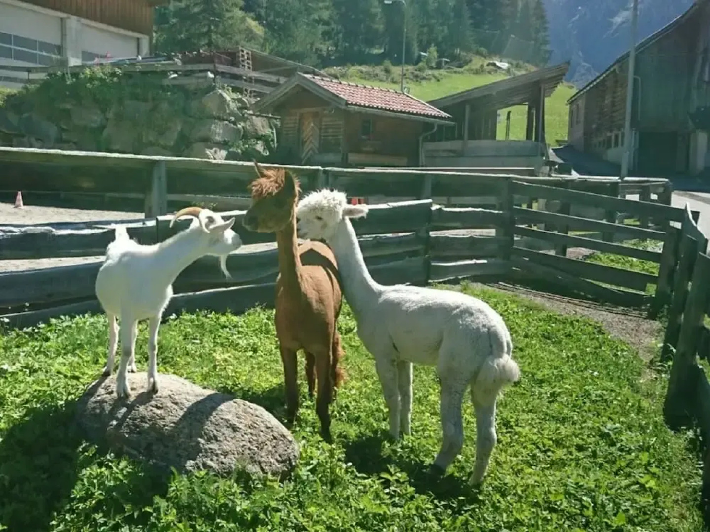 the Veitenhof Comfortable Holiday Residence