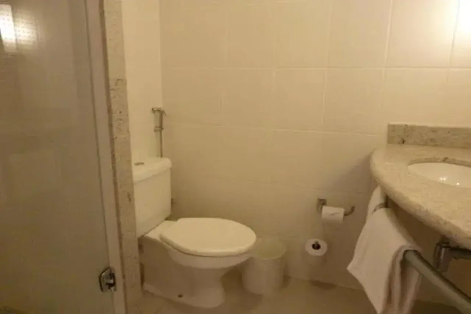 ibis Passo Fundo Centro Hotel