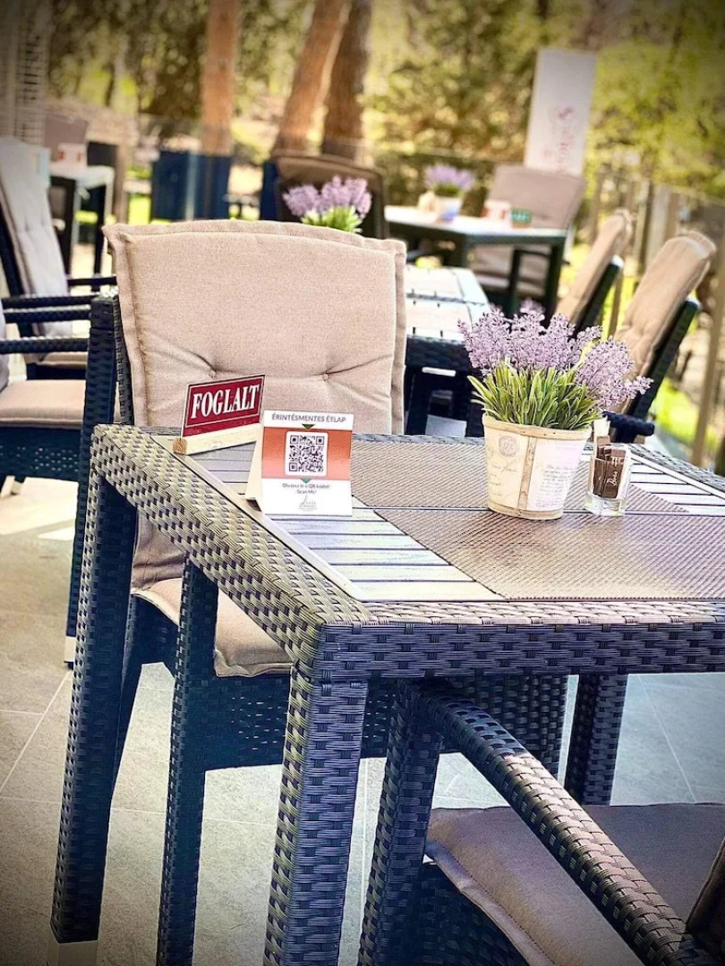 Fenyves Konferencia és Wellness Hotel