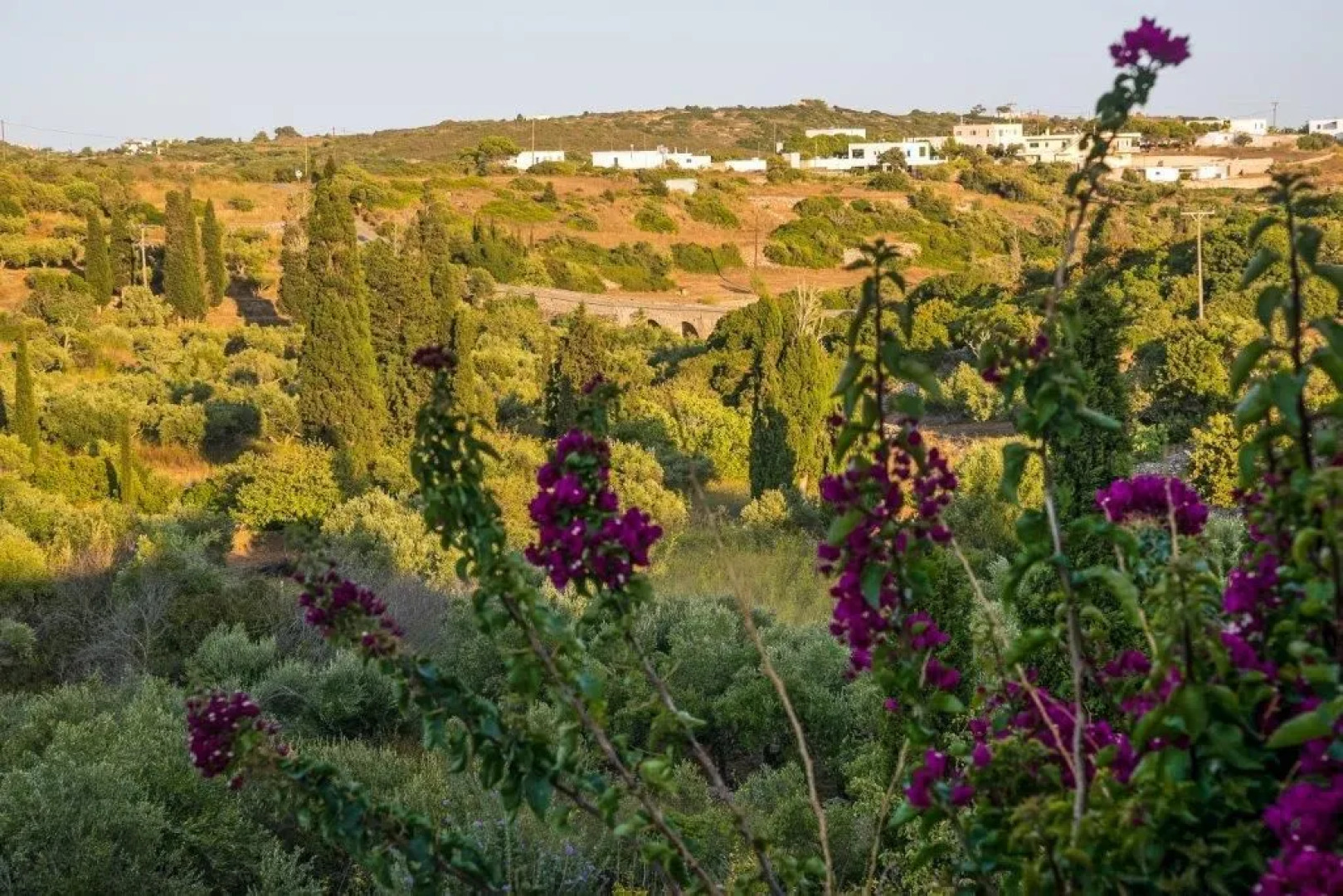 Celestia Traditional Houses