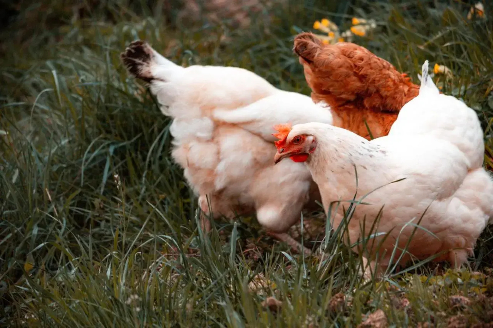 Maison d'hôtes Le Hameau de la Mûre