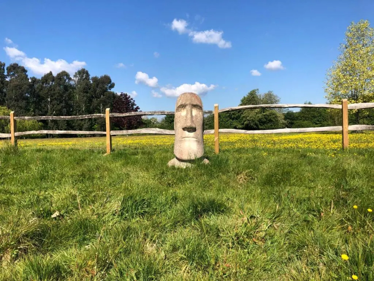 Ryefield Cottage - luxurious self-catered holiday cottage with a log burner