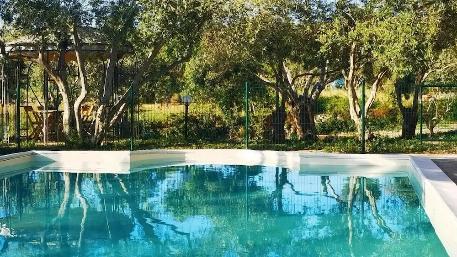 la corte degli ulivi