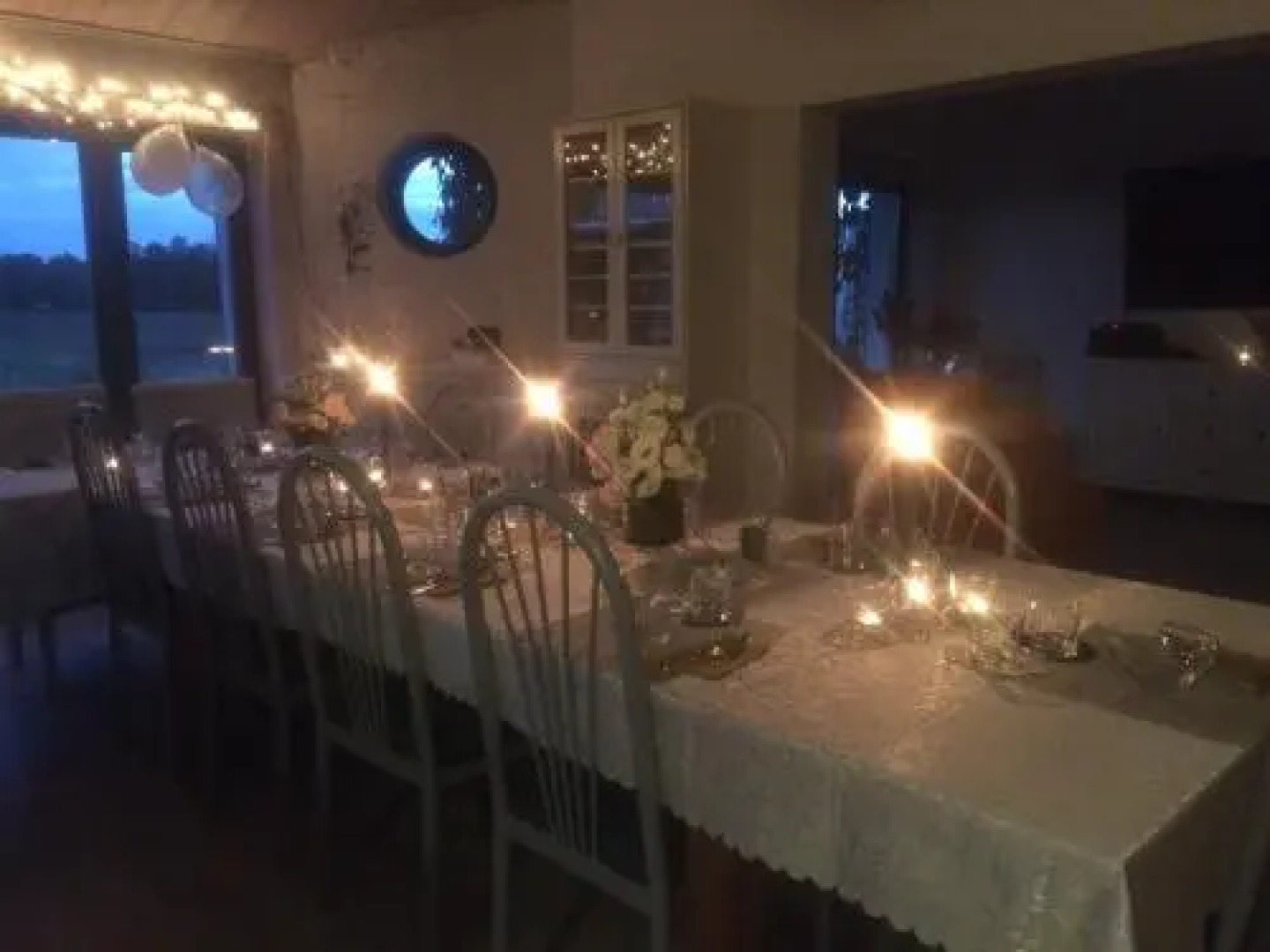 Chamedafne w Puszczy Kampinoskiej