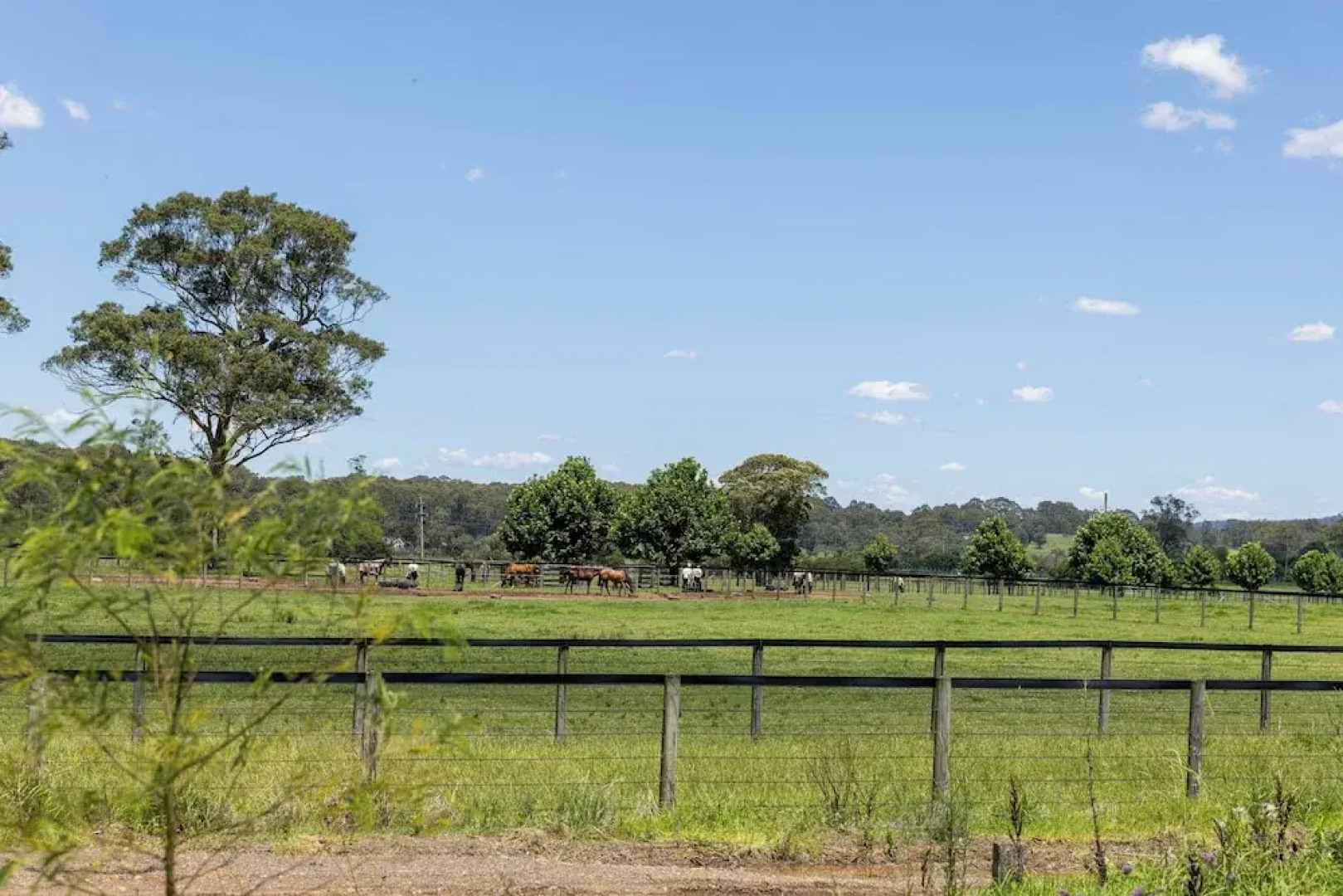 Room in Studio - Nice Studio on Jasmine