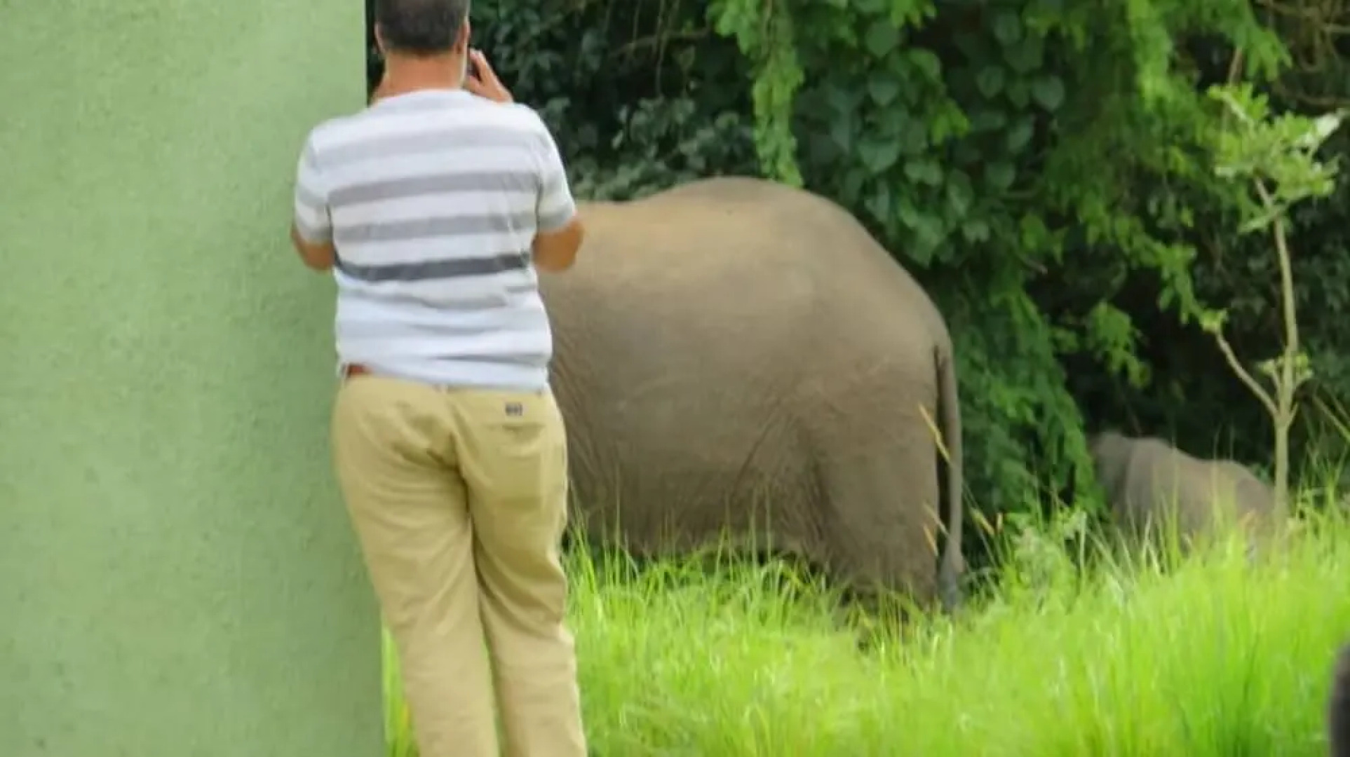 Global Village Hotel