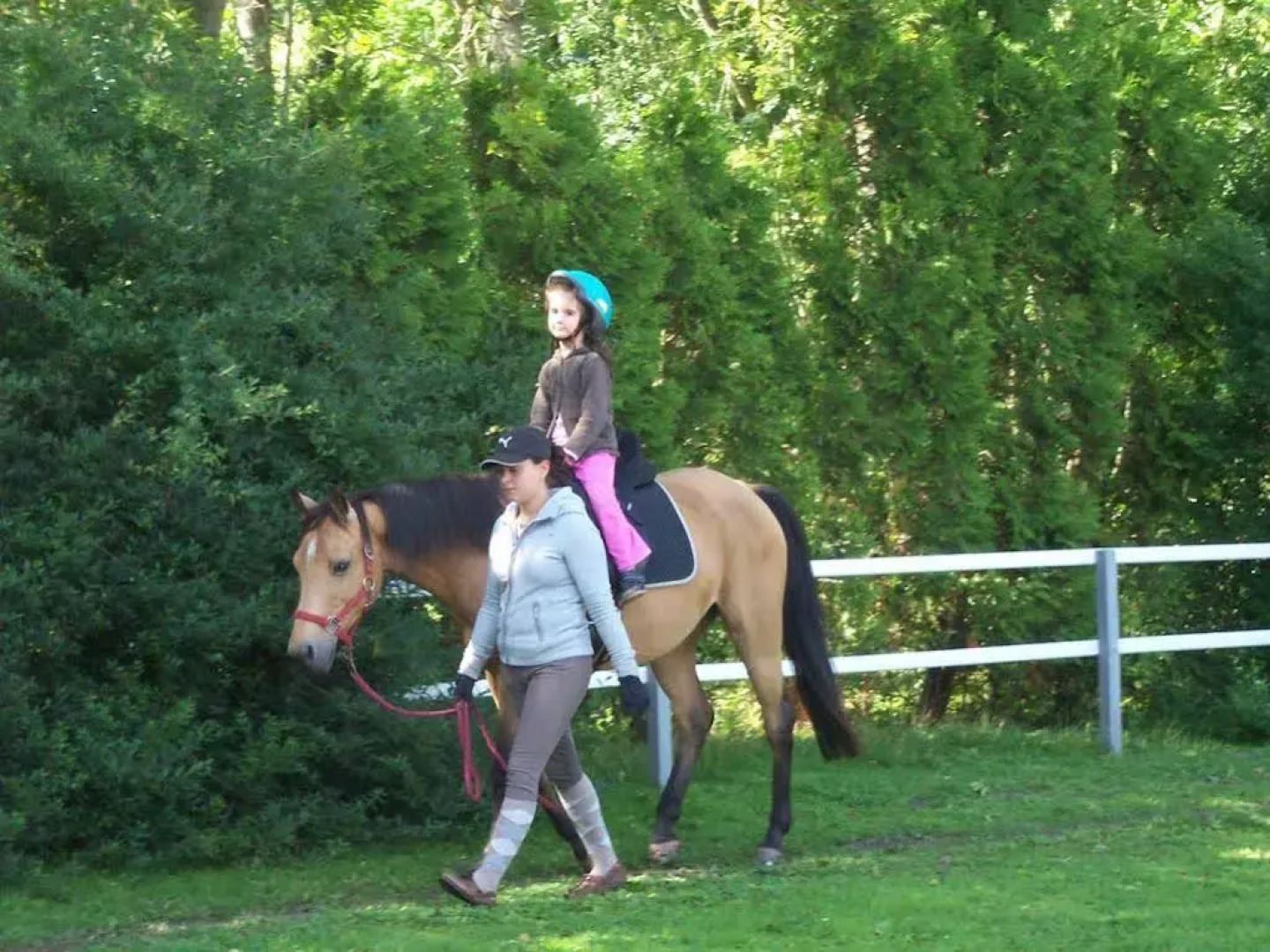 Familienhotel Landhaus Pfahlershof